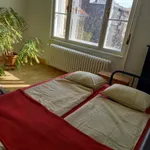 Rent 1 bedroom apartment of 80 m² in Budapest