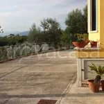 Rent 2 bedroom apartment of 60 m² in Frosinone