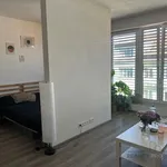 Rent 1 bedroom apartment in Brno