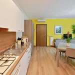 Rent 1 bedroom apartment of 70 m² in milan