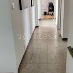 Rent 5 bedroom apartment of 100 m² in Torino