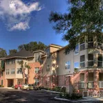 Rent 1 bedroom apartment in Gainesville