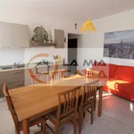 Rent 3 bedroom apartment of 90 m² in legnaro