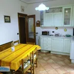 Rent 3 bedroom apartment of 98 m² in Genoa