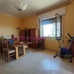 Rent 4 bedroom apartment of 5 m² in Paceco