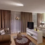 Rent 1 bedroom apartment of 35 m² in Graz