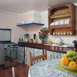 Rent 3 bedroom house in Malaga']