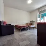 Rent 1 bedroom apartment of 150 m² in verona