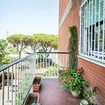 Rent 3 bedroom apartment of 132 m² in Rome