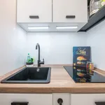 Rent 1 bedroom apartment of 30 m² in Nürnberg