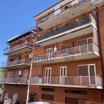 Rent 2 bedroom apartment of 55 m² in Roma