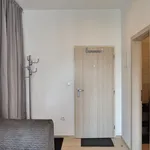 Rent 1 bedroom apartment of 40 m² in Brno