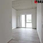 Rent 2 bedroom apartment of 37 m² in Brno