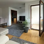 Rent 3 bedroom apartment of 67 m² in Fürth