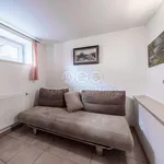 Rent 1 bedroom house of 220 m² in Capital City of Prague