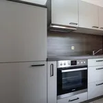 Rent 1 bedroom apartment of 45 m² in Chemnitz