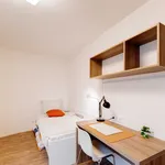 Rent 1 bedroom apartment of 10 m² in Berlin