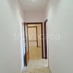 Rent 4 bedroom apartment of 110 m² in Salerno