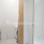 Rent 4 bedroom apartment of 90 m² in Bologna