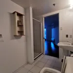  appartement avec 1 chambre(s) en location à Montreal