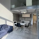 Rent 2 bedroom apartment of 80 m² in Torino