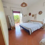 Rent 2 bedroom house of 165 m² in Lizzano