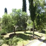 Rent 3 bedroom house of 75 m² in Roma