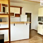 Rent 1 bedroom apartment of 29 m² in Dobřany