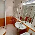 Rent 3 bedroom apartment of 67 m² in Slaný