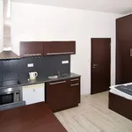 Rent 1 bedroom apartment of 24 m² in Brno