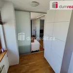 Rent 1 bedroom apartment of 36 m² in Capital City of Prague