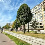 Rent 2 bedroom apartment in Ghent