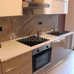 Rent 1 bedroom apartment of 50 m² in Turin