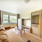 Rent 1 bedroom apartment of 33 m² in Vilnius