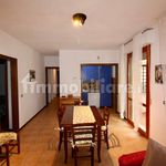 Rent 3 bedroom apartment of 65 m² in Pisa