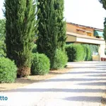 Appartamento arredato con terrazzo Montalto Di Castro