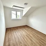 Rent 4 bedroom apartment in Vochov