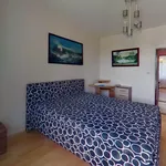 Rent 2 bedroom apartment in Třebíč