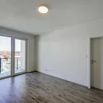 Rent 2 bedroom apartment in Pilsen