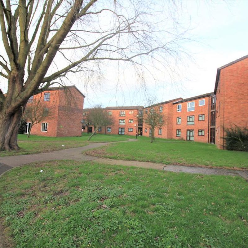 3 bedroom apartment to rent Forncett End