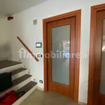 Rent 2 bedroom apartment of 38 m² in Turin