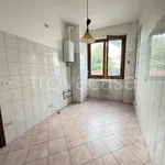 Rent 4 bedroom apartment of 130 m² in Concorezzo