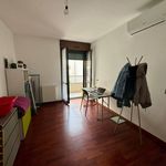 Affitto 3 camera appartamento di 96 m² in Monza