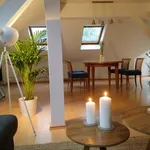 Rent 1 bedroom apartment of 49 m² in Dresden