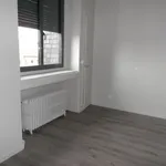 Rent 2 bedroom apartment of 33 m² in St Etienne