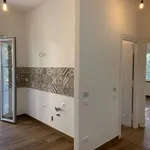 Rent 1 bedroom apartment of 50 m² in Roma