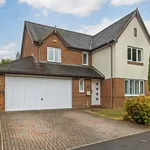 Rent 4 bedroom house in Winchester