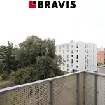 Pronajměte si 1 ložnic/e byt o rozloze 38 m² v Brno