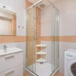 Rent 1 bedroom apartment in Prague