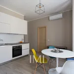 Rent 2 bedroom apartment of 56 m² in Milan